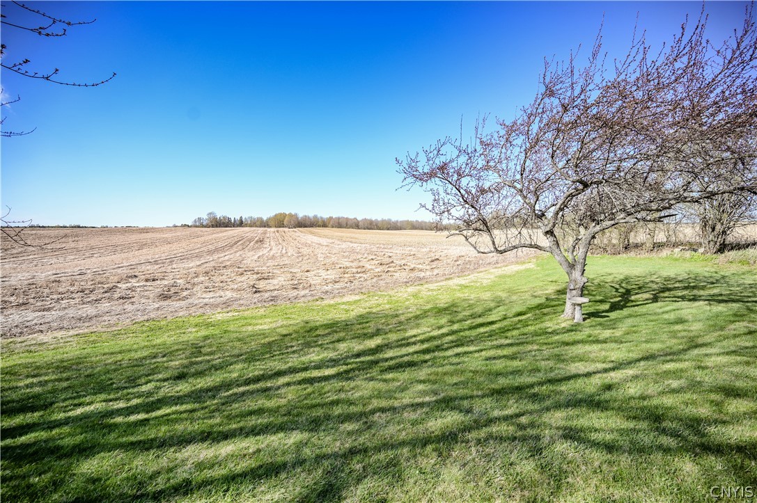 9339 Crooked Hill Road Paris, NY 13318 - Photo 43 of 45