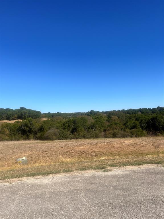 8405 Gullane Street Cleburne, TX 76033 - Photo 20 of 37 a view of lake and mountain