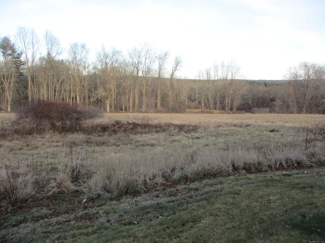 a view of a field with large trees