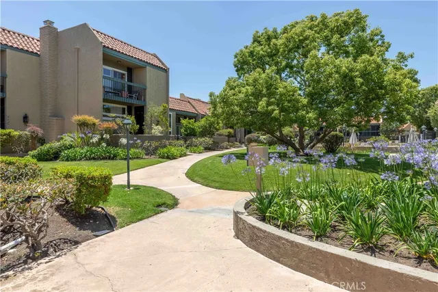 a view of a garden with plants