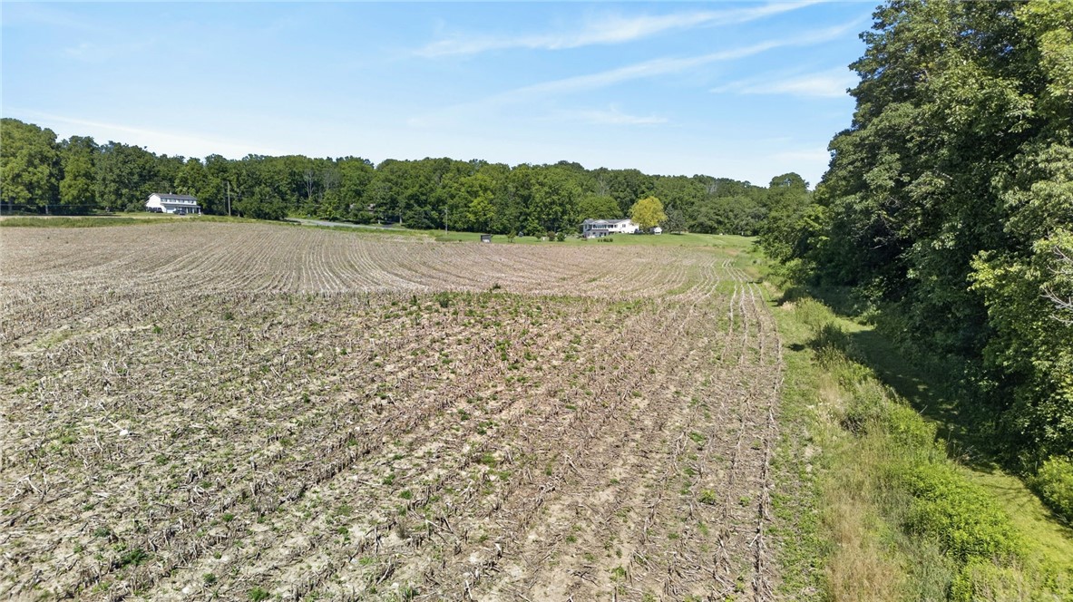 Cramer Road Canandaigua, NY 14424 - Photo 15 of 47