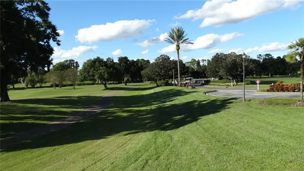 a view of a yard