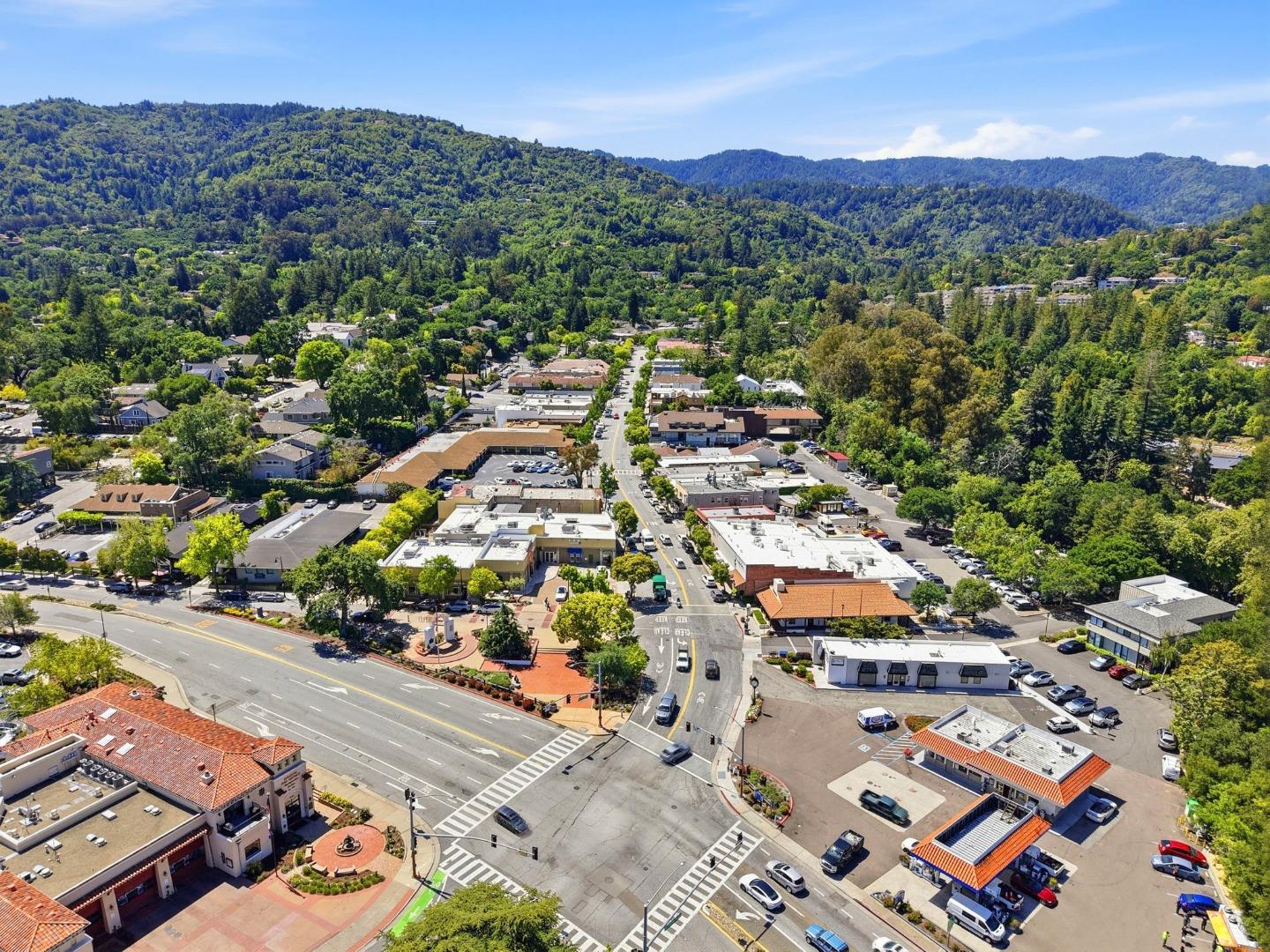 20360 Orchard Road Saratoga, CA 95070 - Photo 41 of 43 an aerial view of a city
