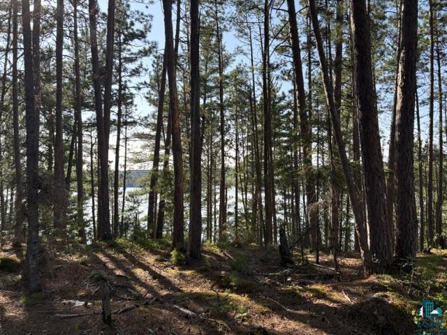 3506 Hanson Lk Road Ely, MN 55731 - Photo 18 of 26