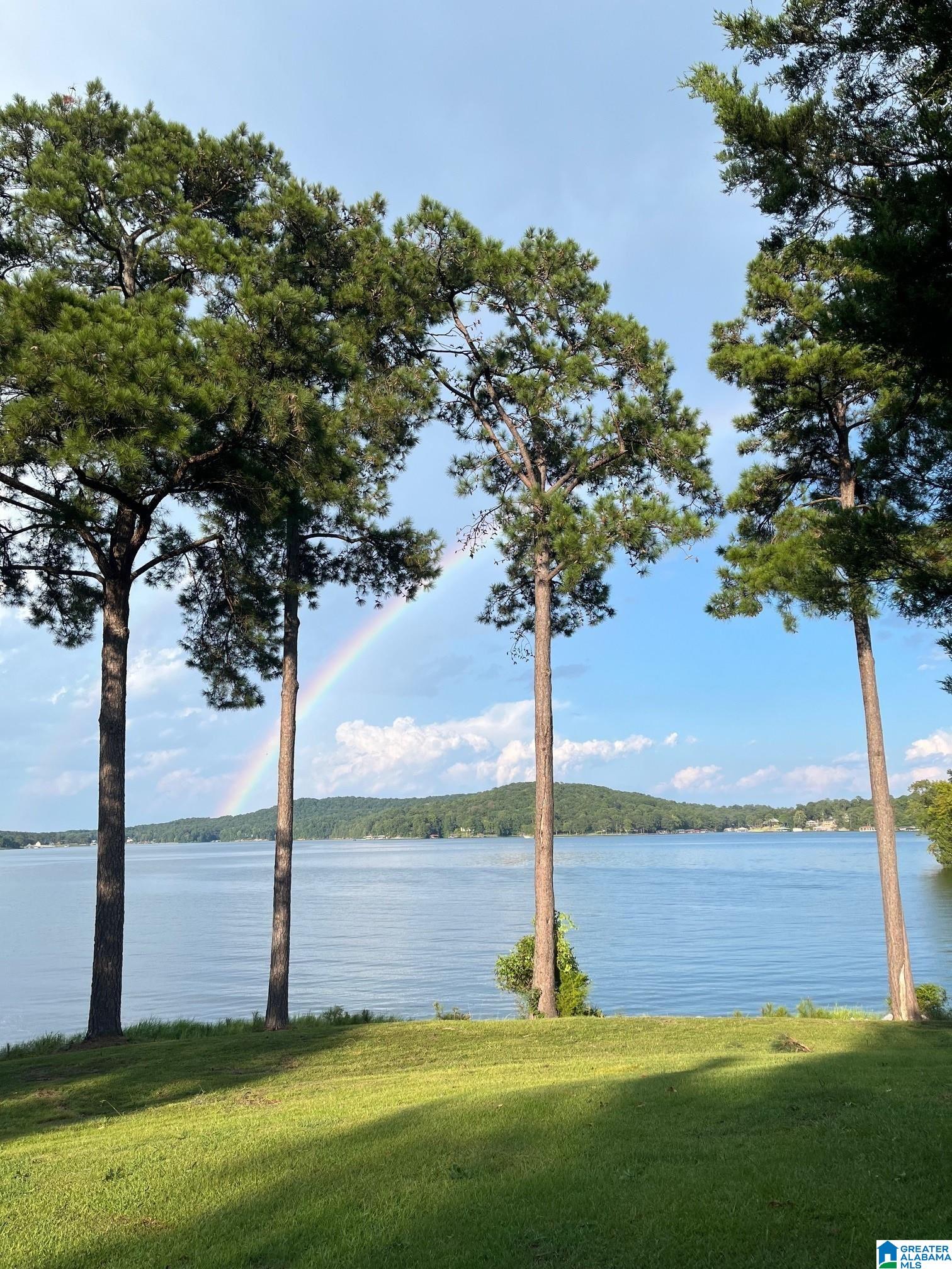 140 Black Acres Point Cropwell, AL 35054 - Photo 1 of 1