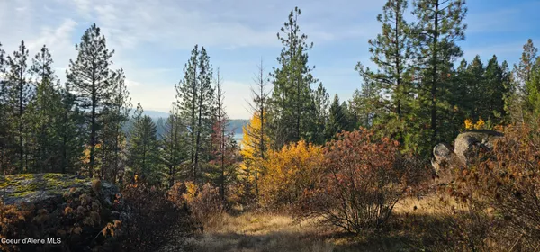 $599,000 | 125 Tracker Way, Laclede, ID 83841