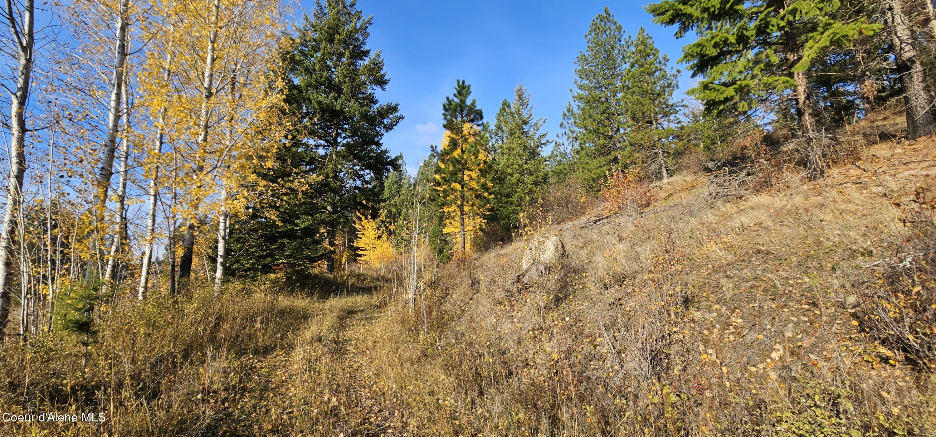 125 Tracker Way Laclede, ID 83841 - Photo 11 of 42 11