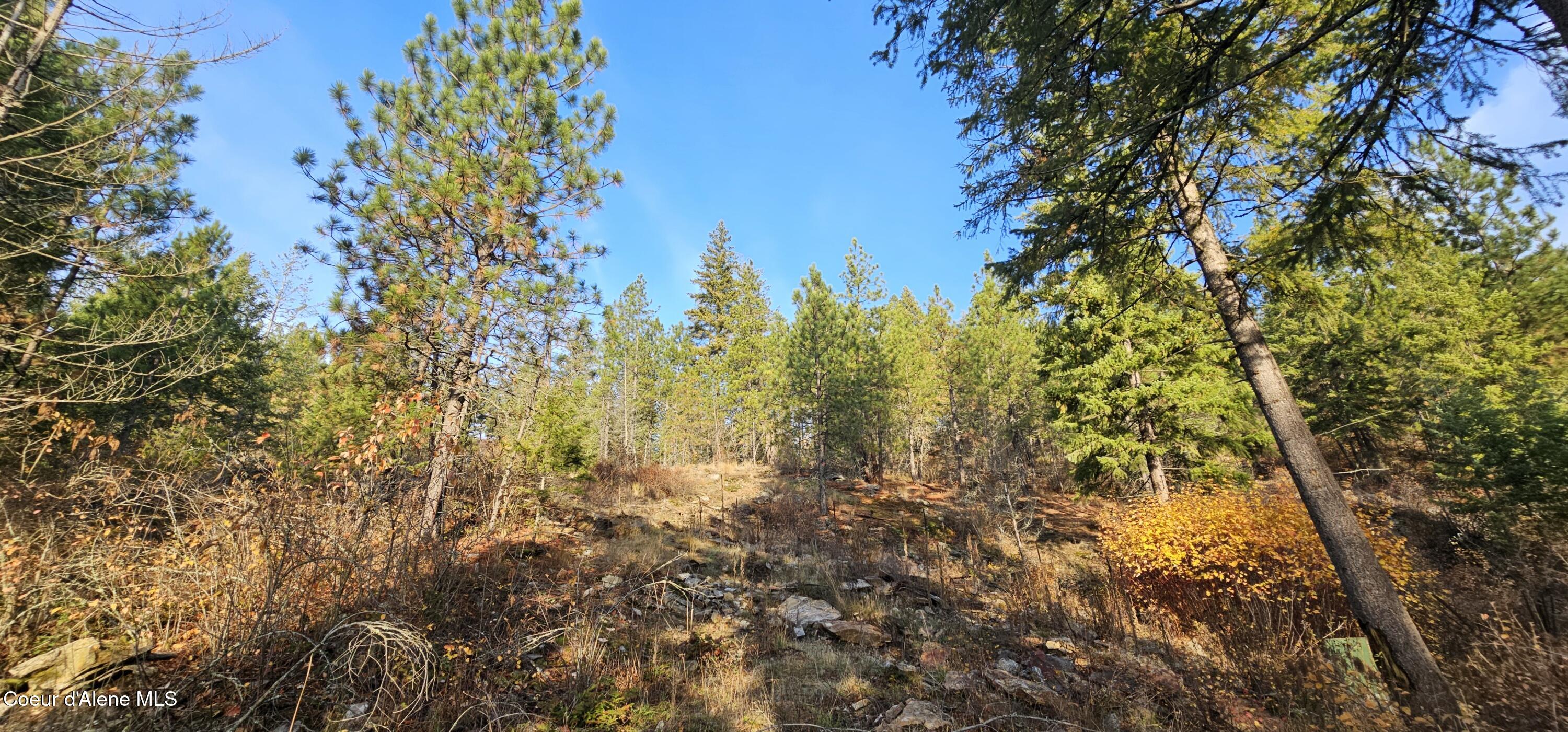 125 Tracker Way Laclede, ID 83841 - Photo 12 of 42 12