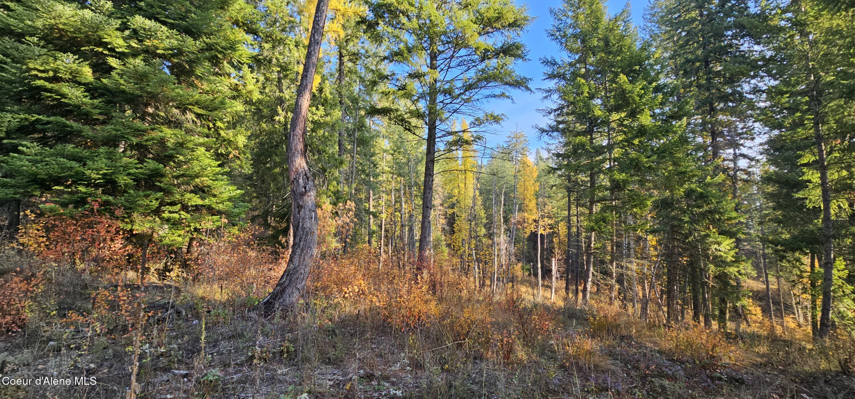 125 Tracker Way Laclede, ID 83841 - Photo 14 of 42 14