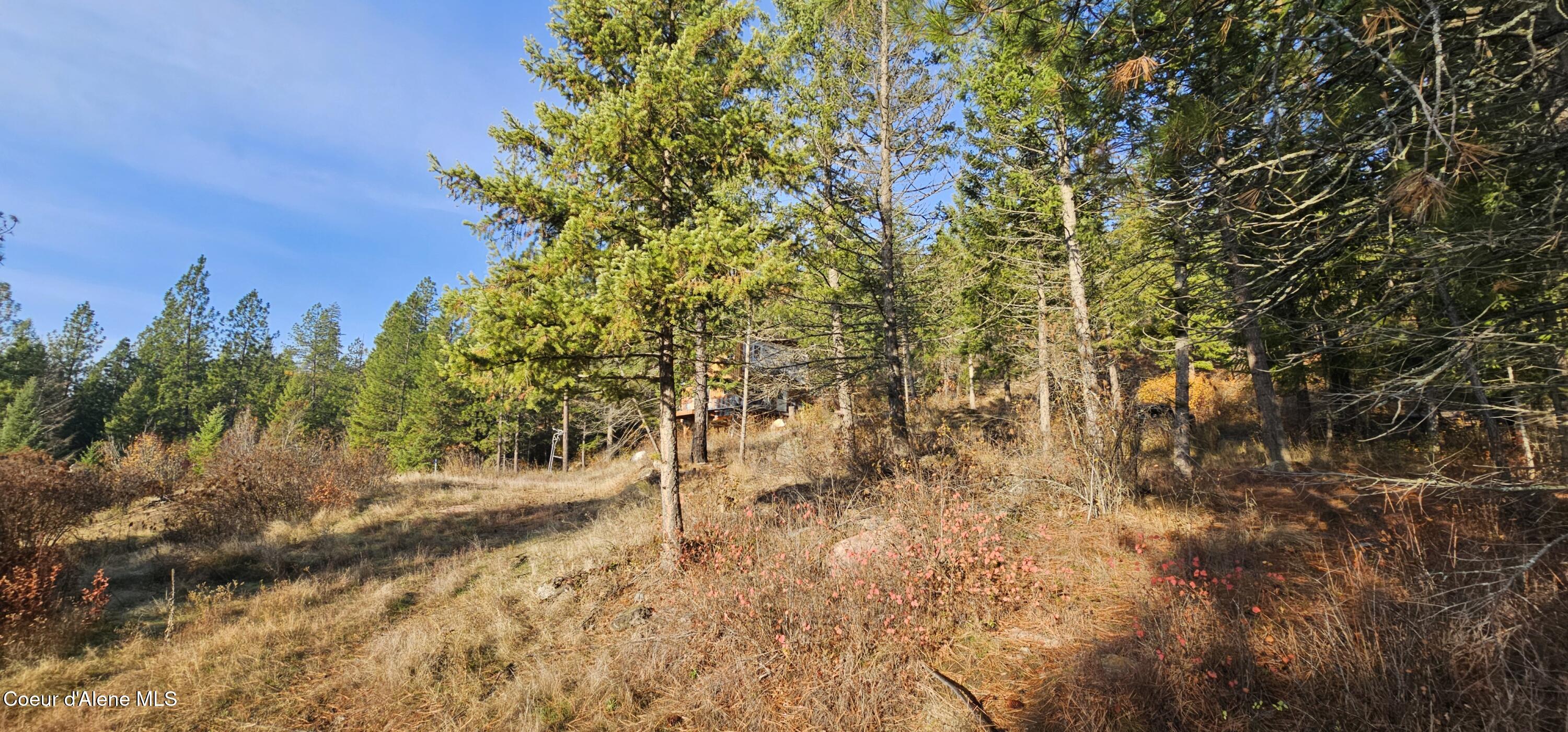 125 Tracker Way Laclede, ID 83841 - Photo 16 of 42 16