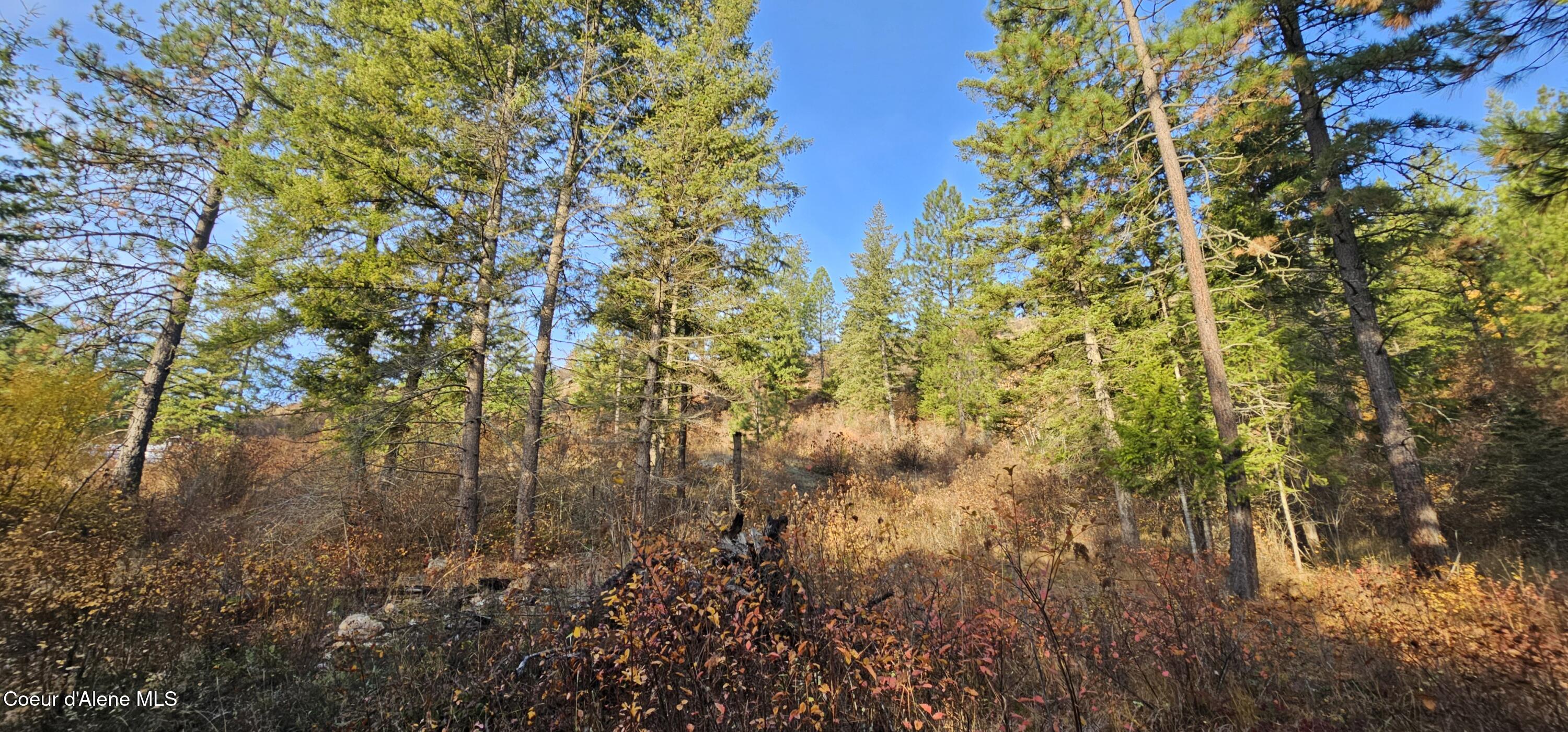 125 Tracker Way Laclede, ID 83841 - Photo 22 of 42 19D