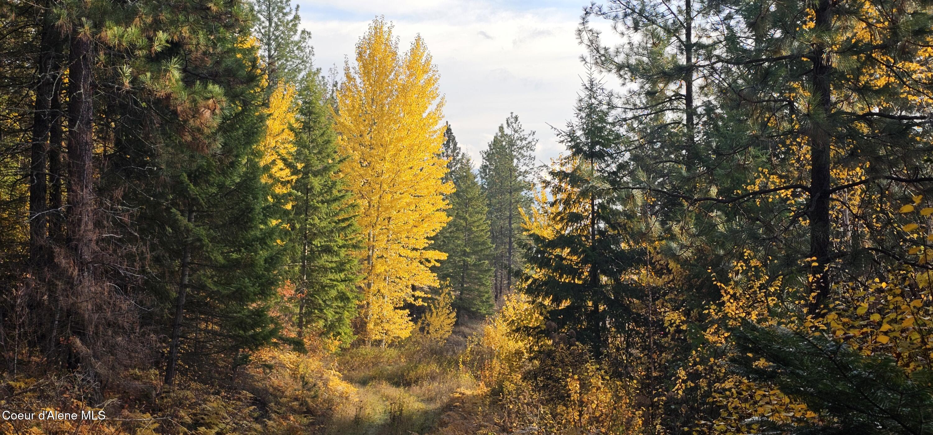 125 Tracker Way Laclede, ID 83841 - Photo 25 of 42 22