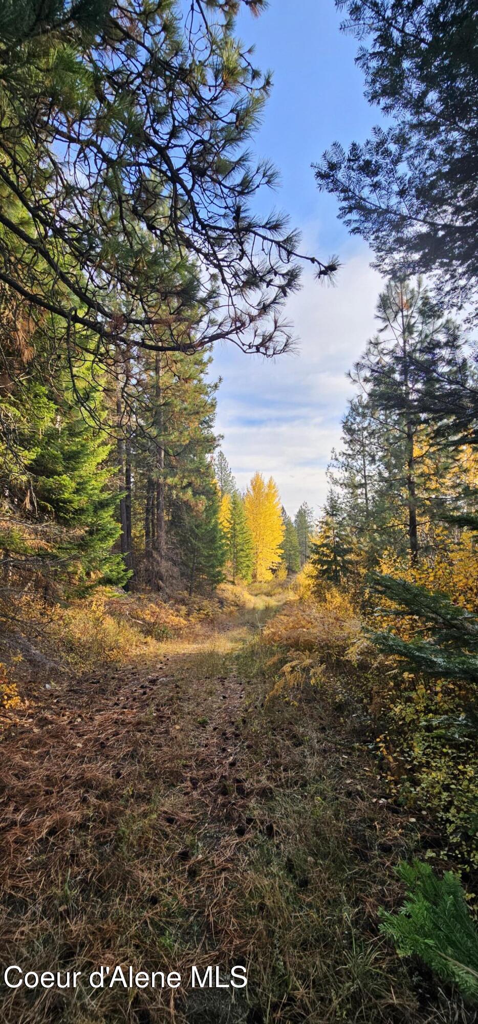 125 Tracker Way Laclede, ID 83841 - Photo 26 of 42 22A