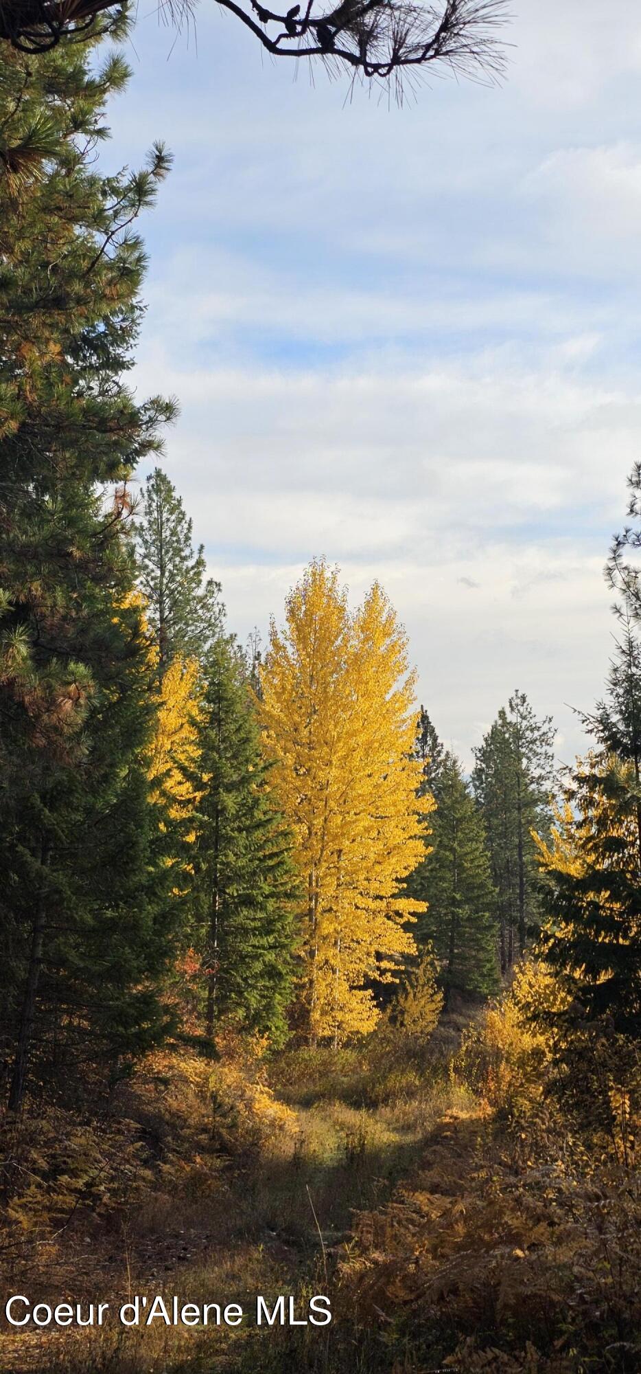 125 Tracker Way Laclede, ID 83841 - Photo 27 of 42 23