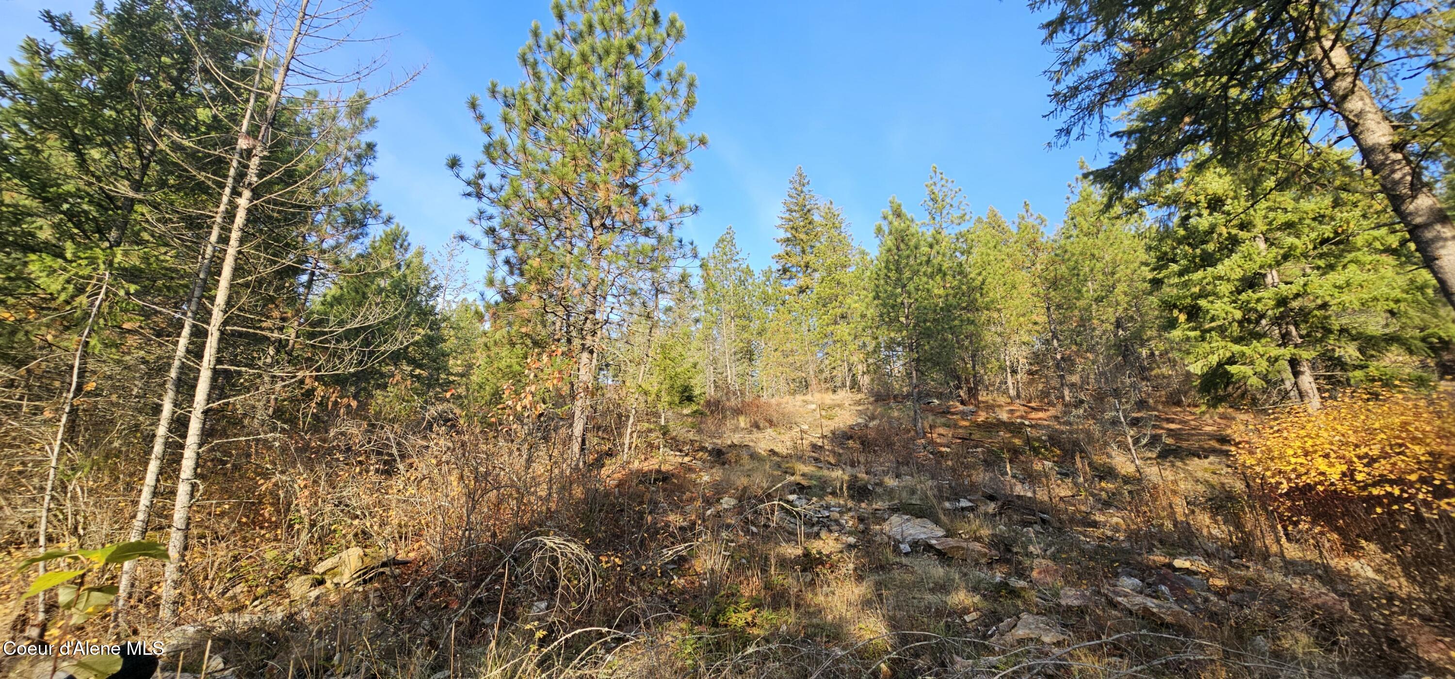 125 Tracker Way Laclede, ID 83841 - Photo 29 of 42 25