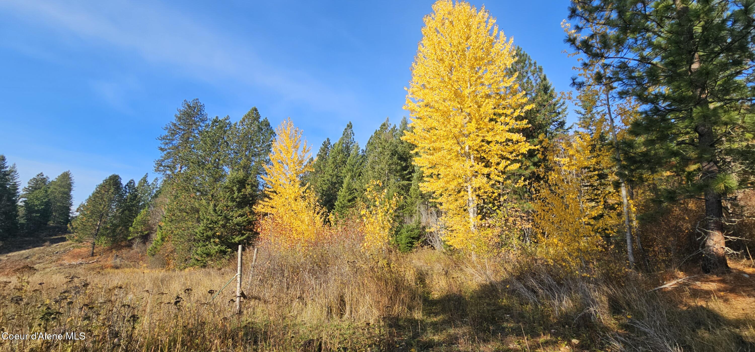 125 Tracker Way Laclede, ID 83841 - Photo 3 of 42 03