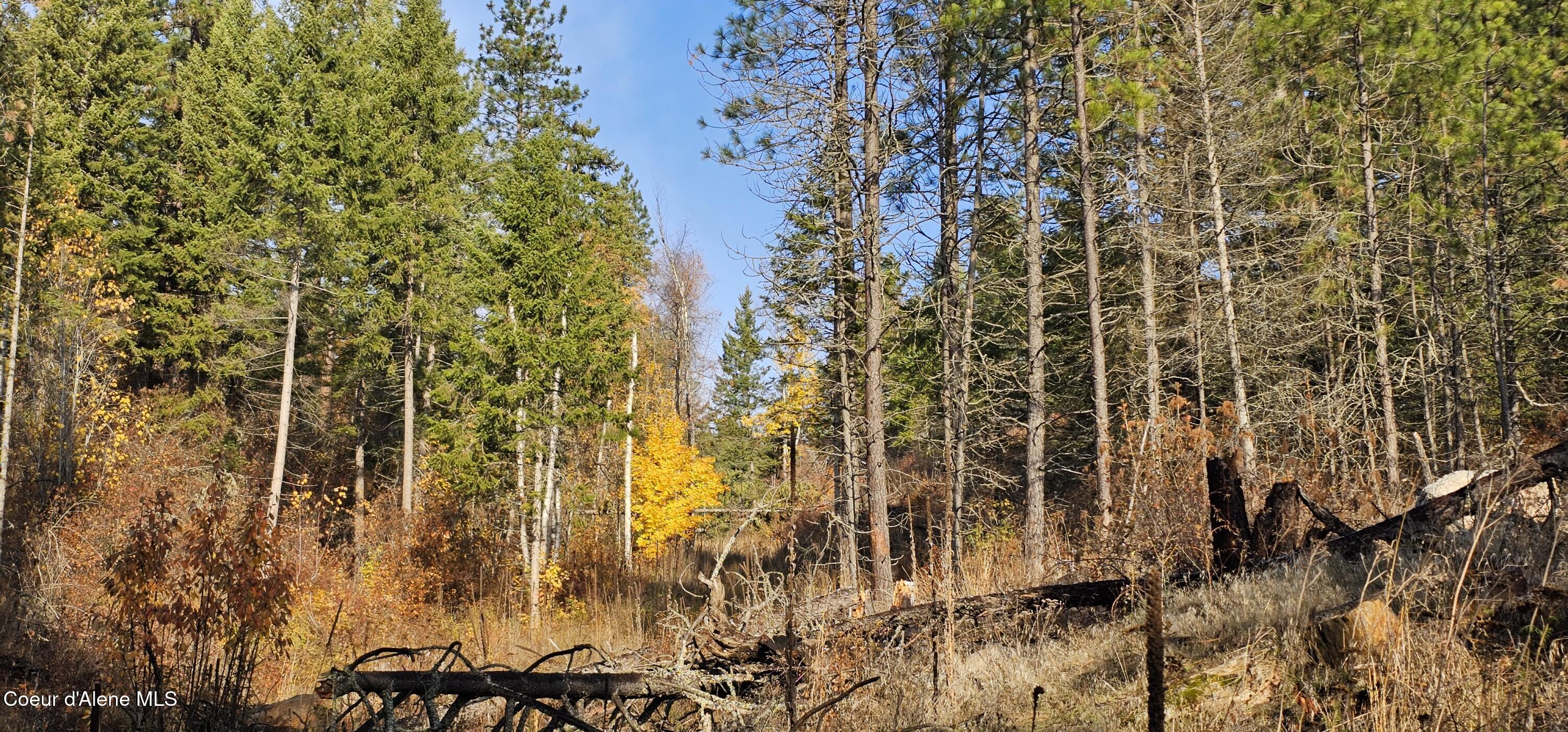 125 Tracker Way Laclede, ID 83841 - Photo 35 of 42 777