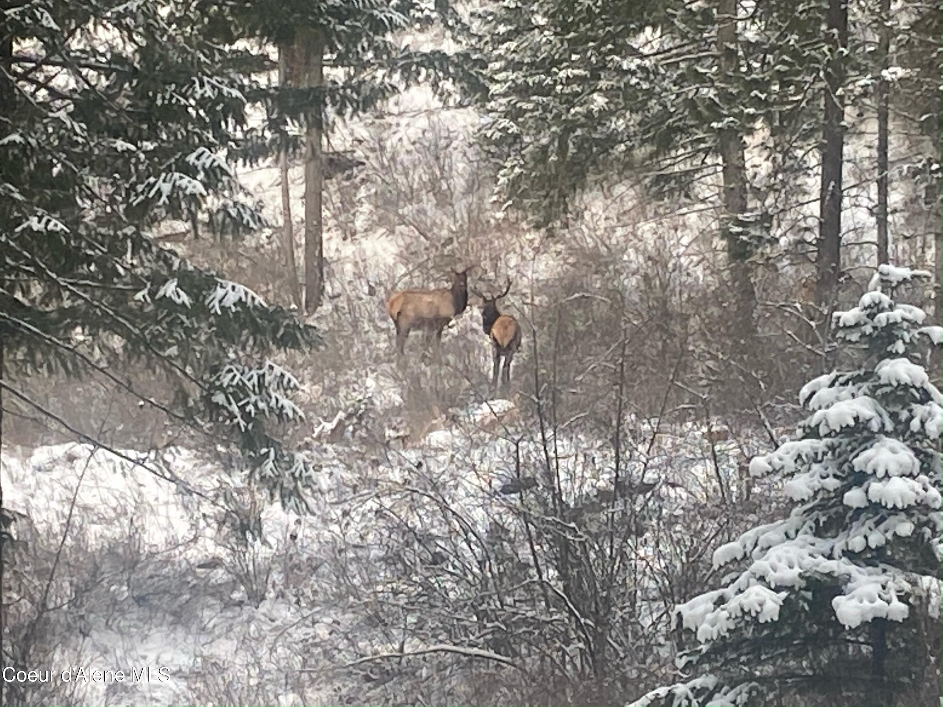 125 Tracker Way Laclede, ID 83841 - Photo 4 of 42 04