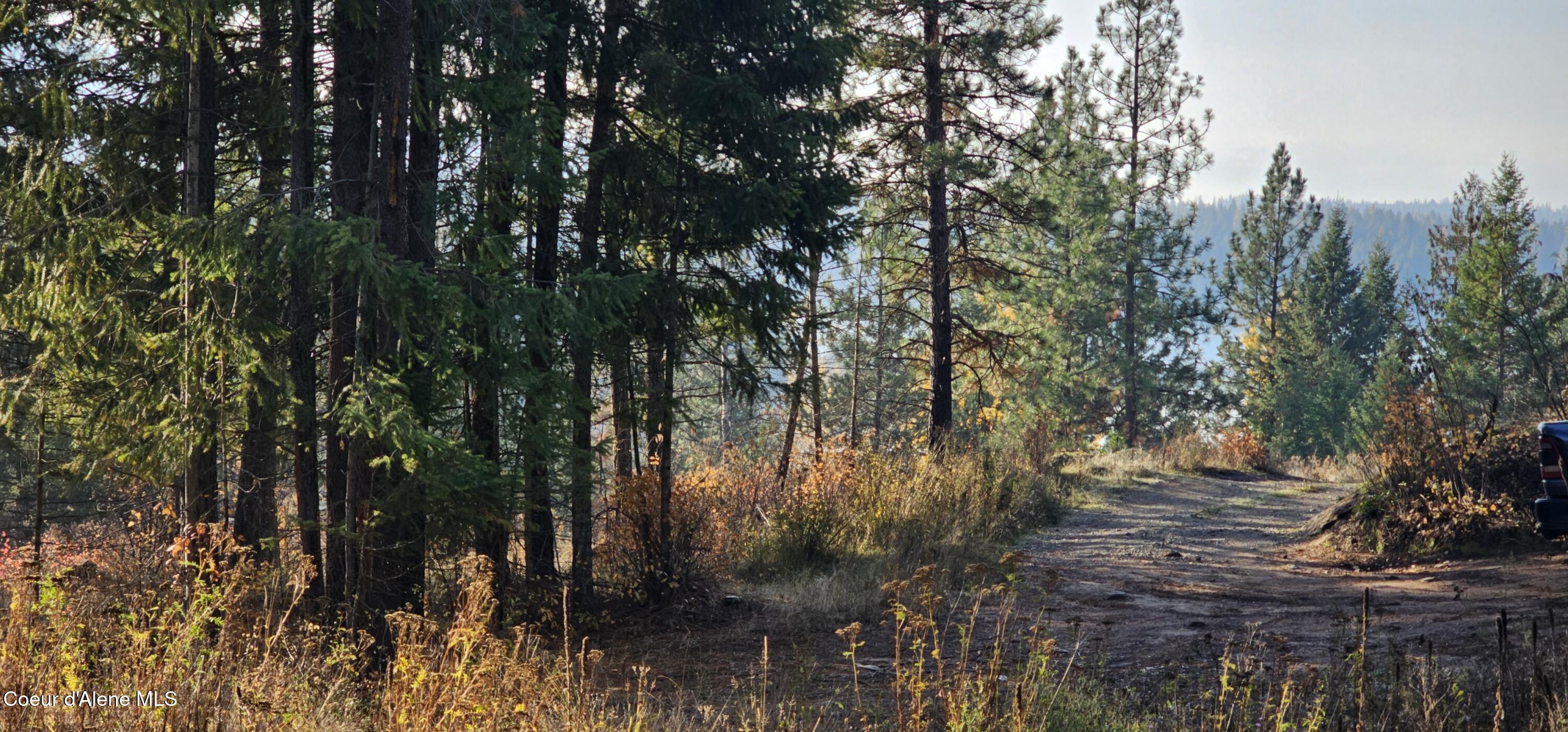 125 Tracker Way Laclede, ID 83841 - Photo 41 of 42 2234