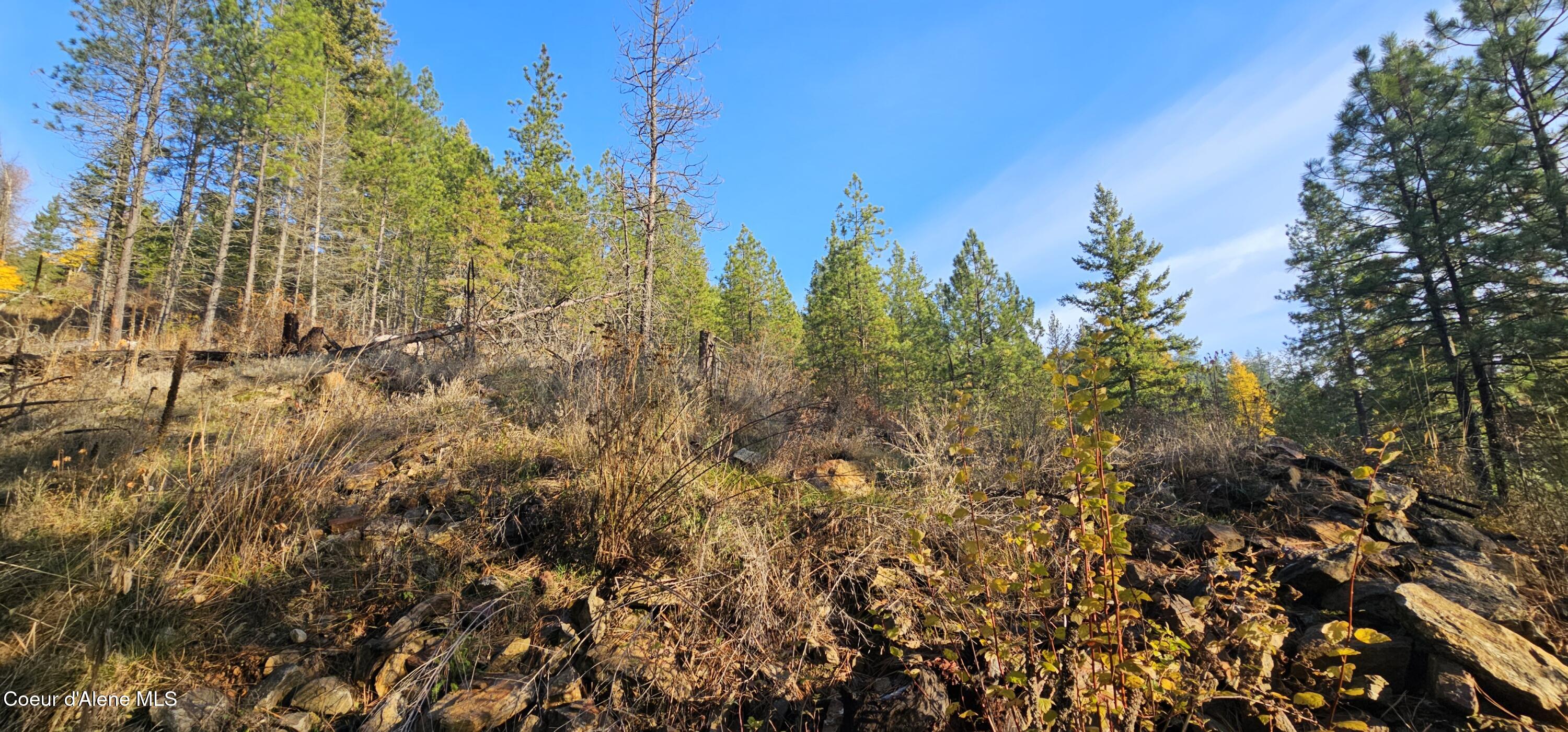 125 Tracker Way Laclede, ID 83841 - Photo 42 of 42 5555