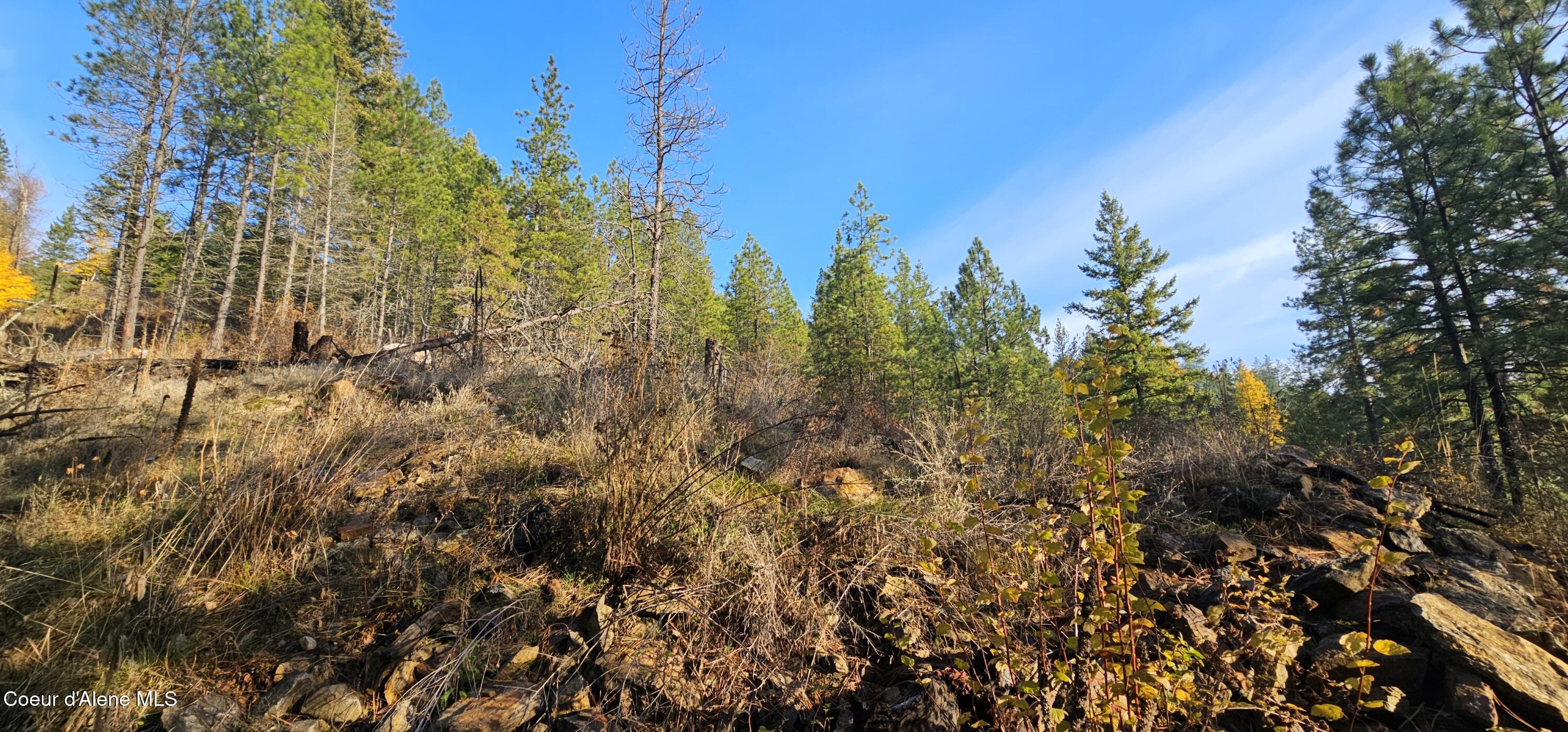 125 Tracker Way Laclede, ID 83841 - Photo 6 of 42 06