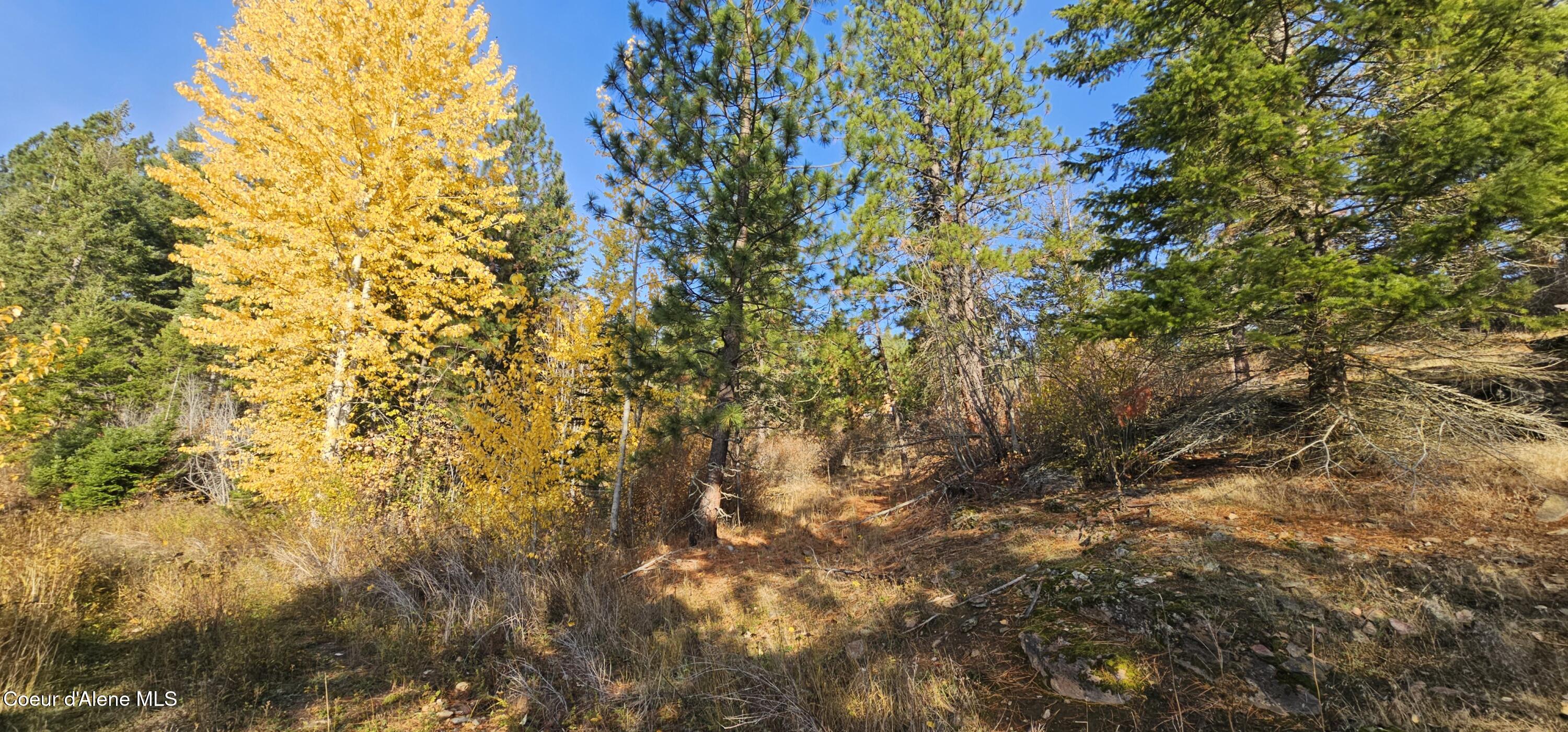 125 Tracker Way Laclede, ID 83841 - Photo 8 of 42 08