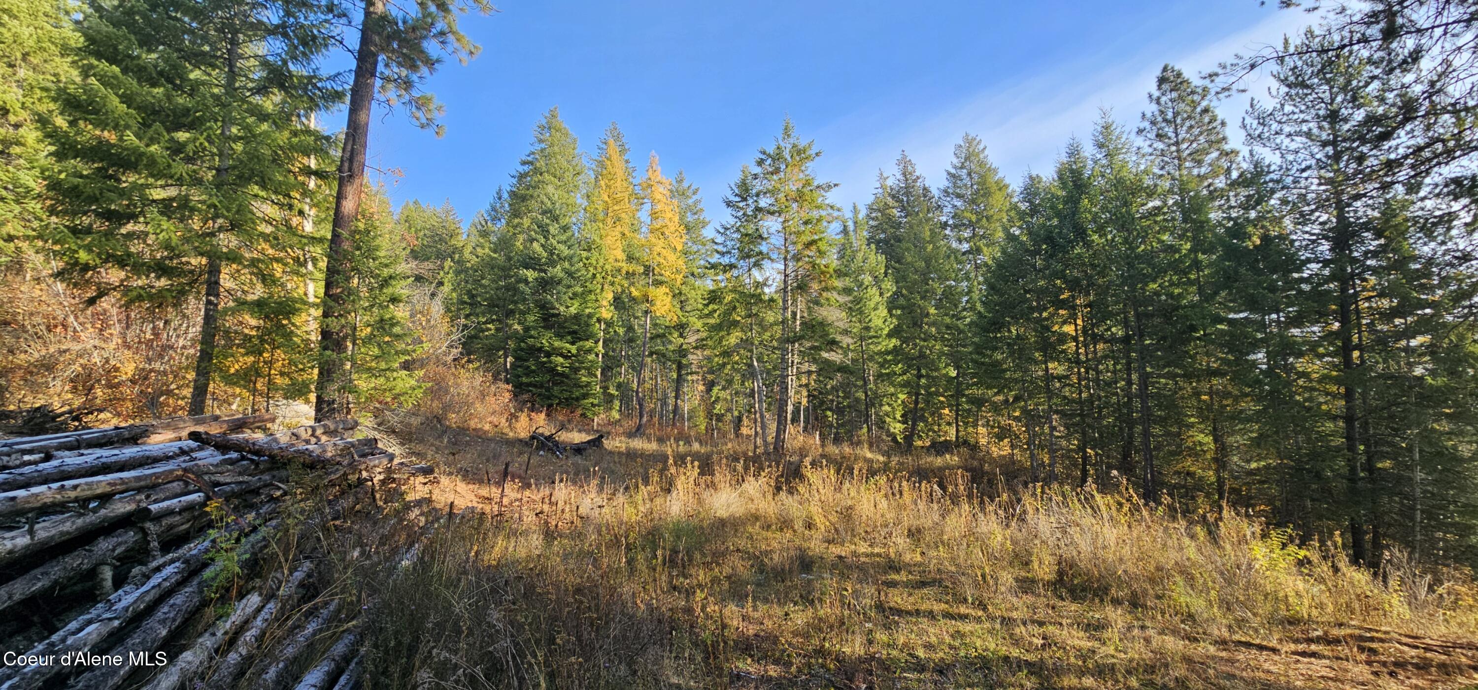 125 Tracker Way Laclede, ID 83841 - Photo 9 of 42 09