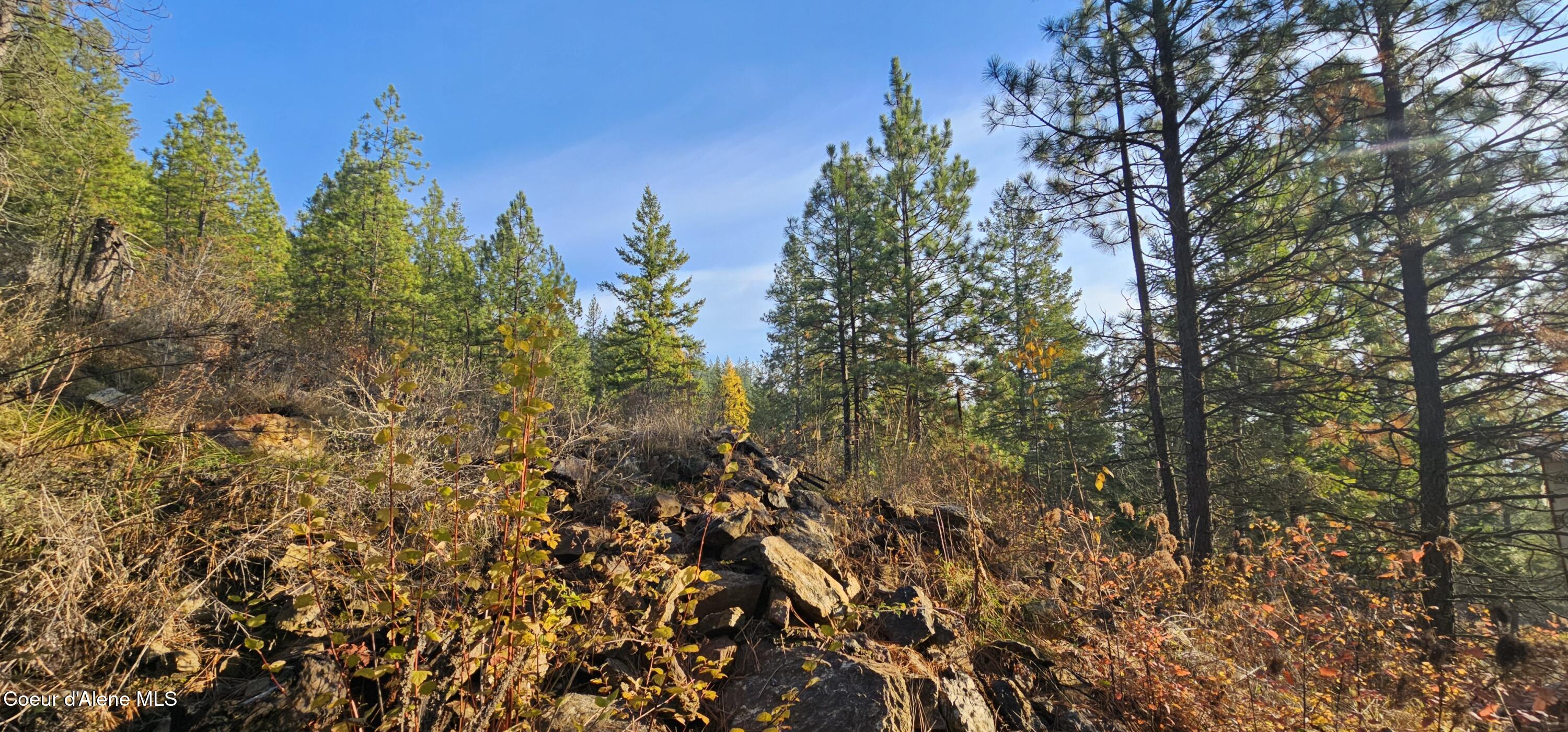 125 Tracker Way Laclede, ID 83841 - Photo 10 of 42 10