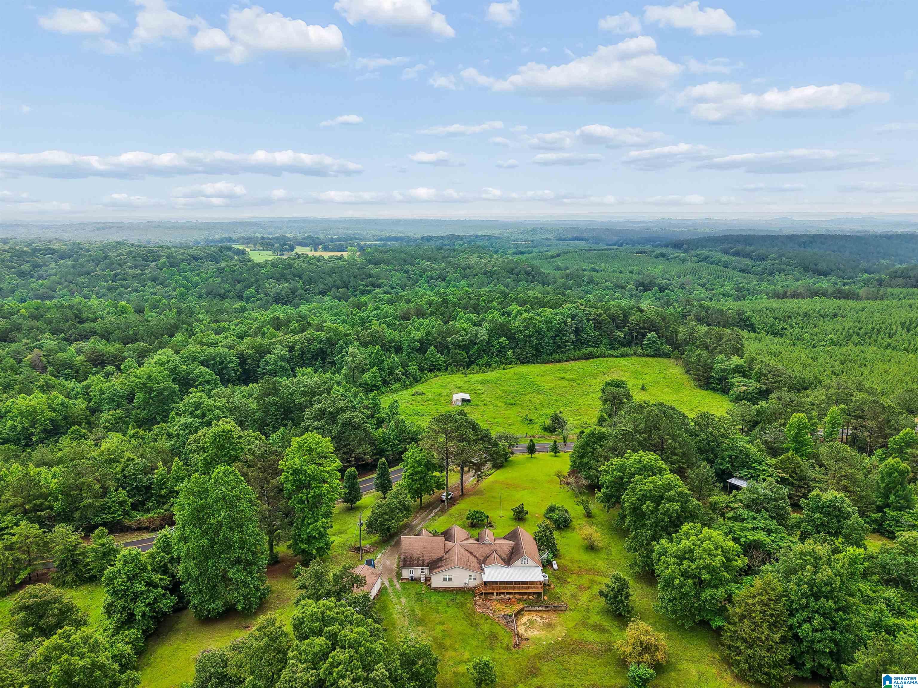 2919 Old Pineywoods Road Jasper, AL 35504 - Photo 11 of 56