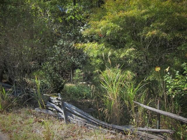 14 Wallace Hollow Road Lindside, WV 24951 - Photo 57 of 89 Gallery Image 57