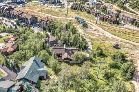 an aerial view of residential houses with outdoor space and trees