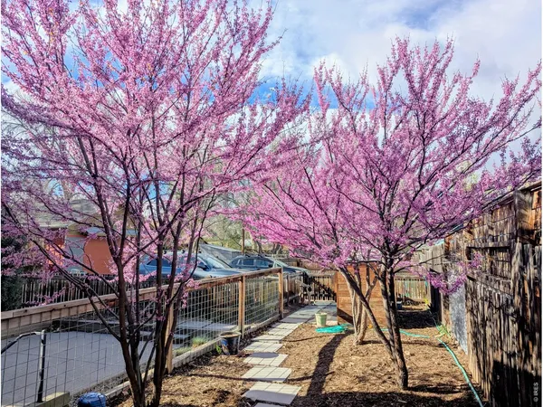 a backyard of a house with lots of trees