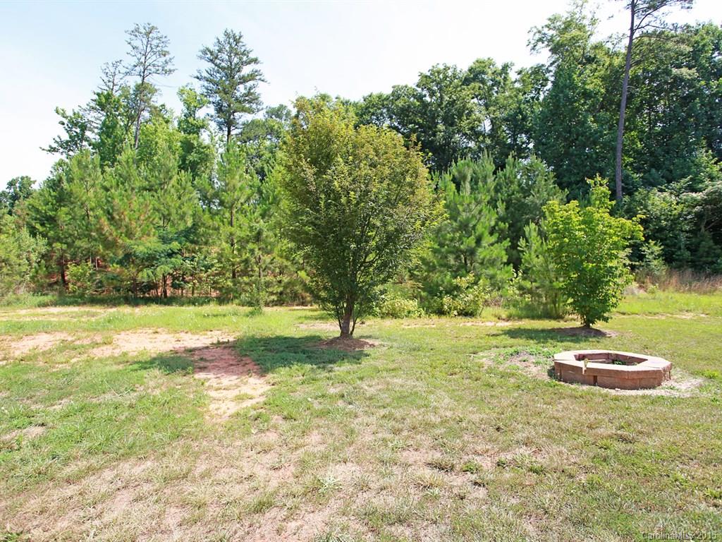 769 Jones Branch Road Fort Mill, SC 29715 - Photo 2 of 24