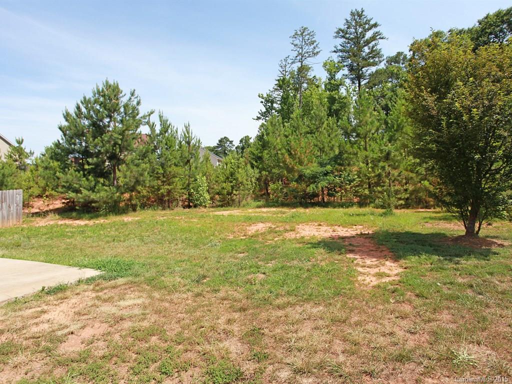 769 Jones Branch Road Fort Mill, SC 29715 - Photo 23 of 24