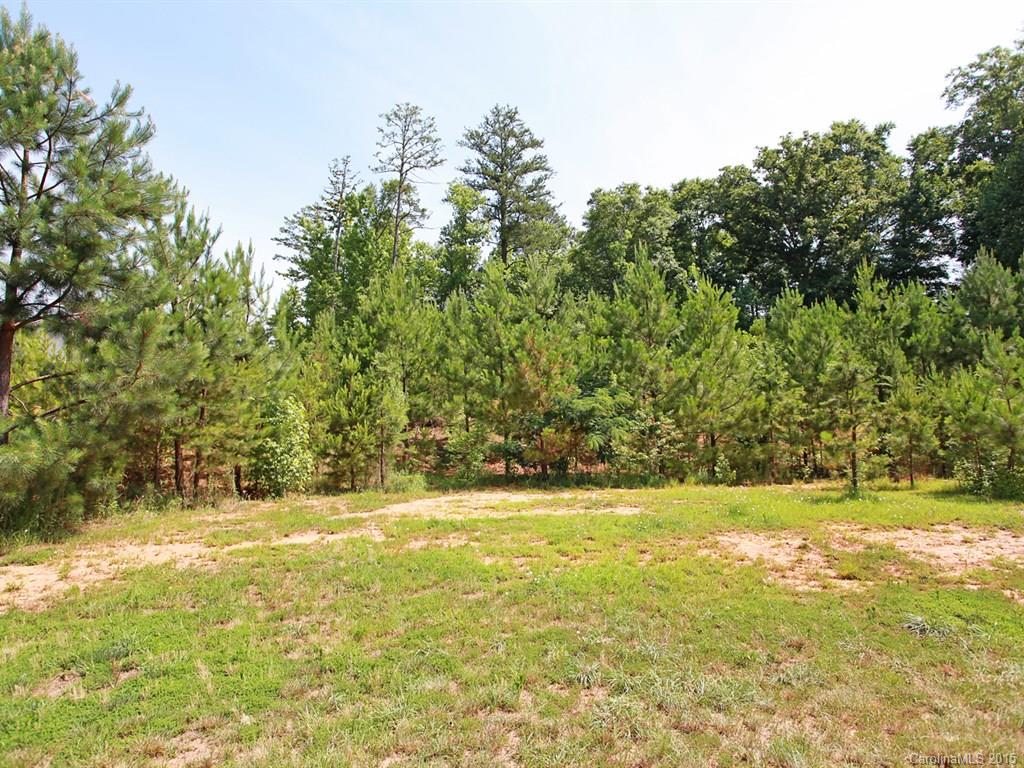 769 Jones Branch Road Fort Mill, SC 29715 - Photo 24 of 24