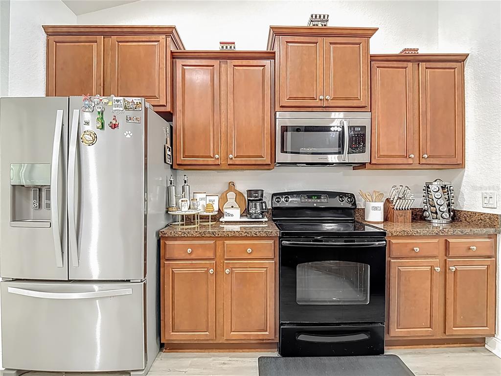 13108 Oneida Street Spring Hill, FL 34609 - Photo 19 of 62 a kitchen with granite countertop a refrigerator stove and microwave