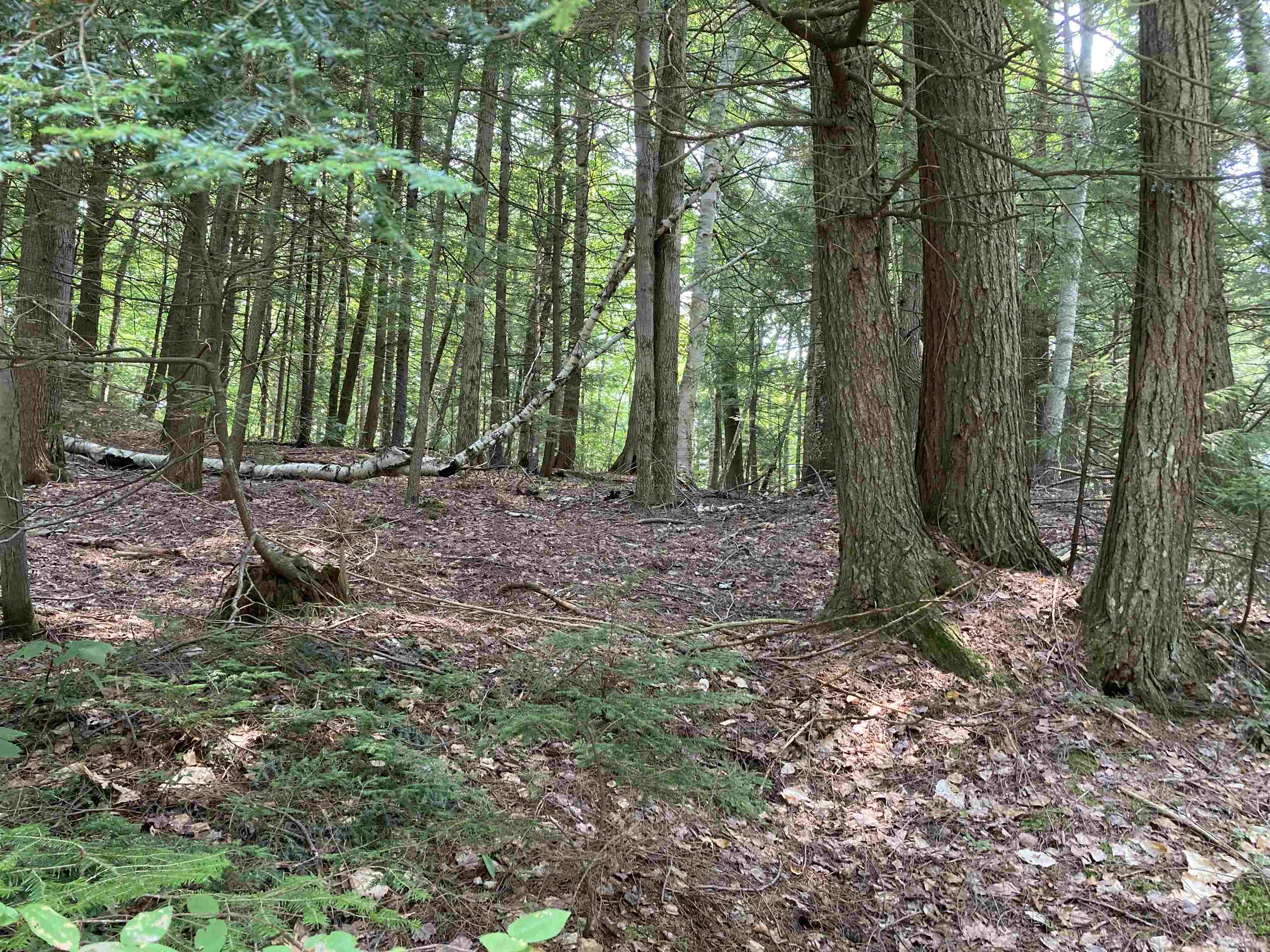 0 Halfmoon Pond Road Grafton, NH 03240 - Photo 1 of 13