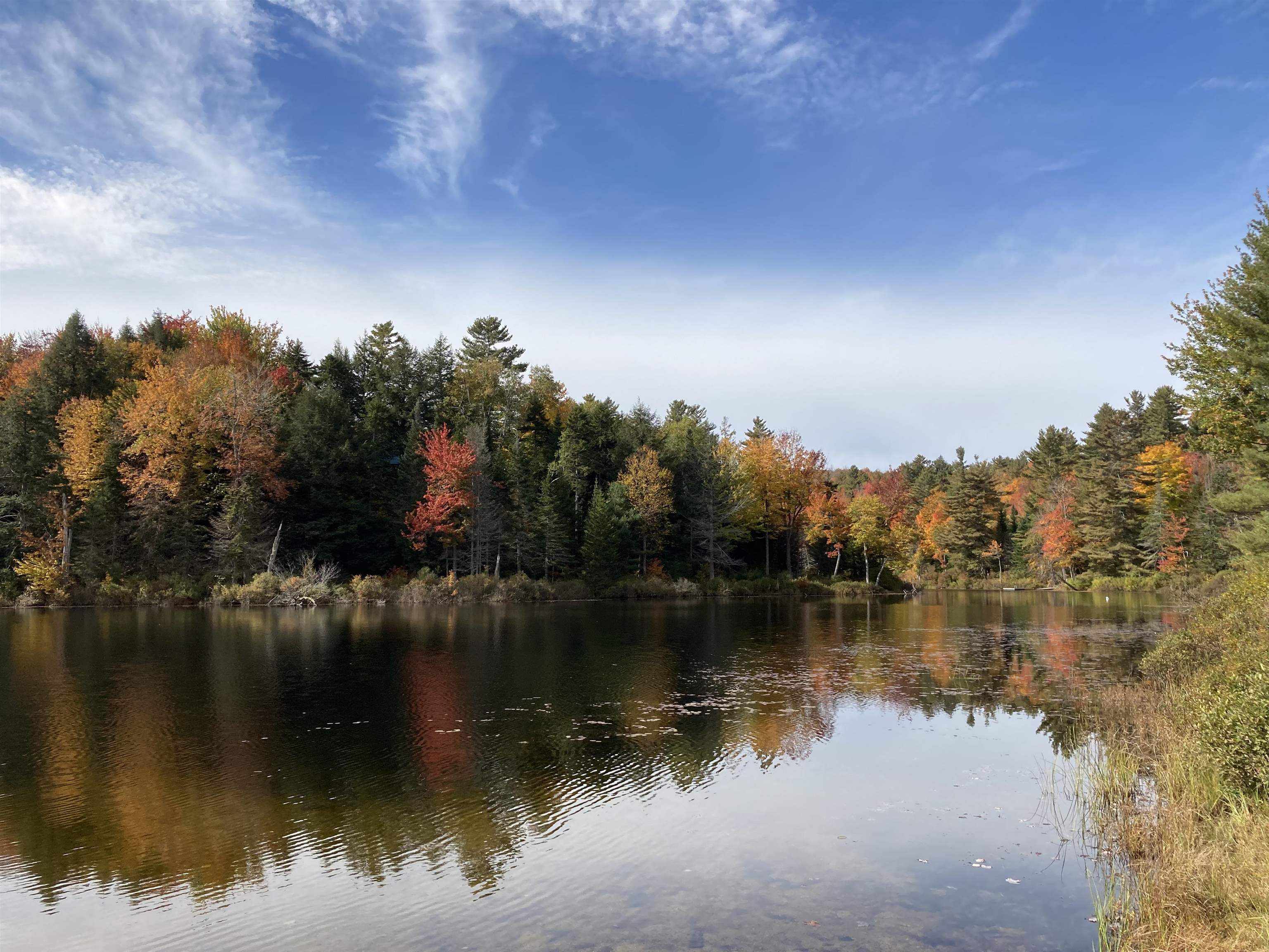 0 Halfmoon Pond Road Grafton, NH 03240 - Photo 11 of 13
