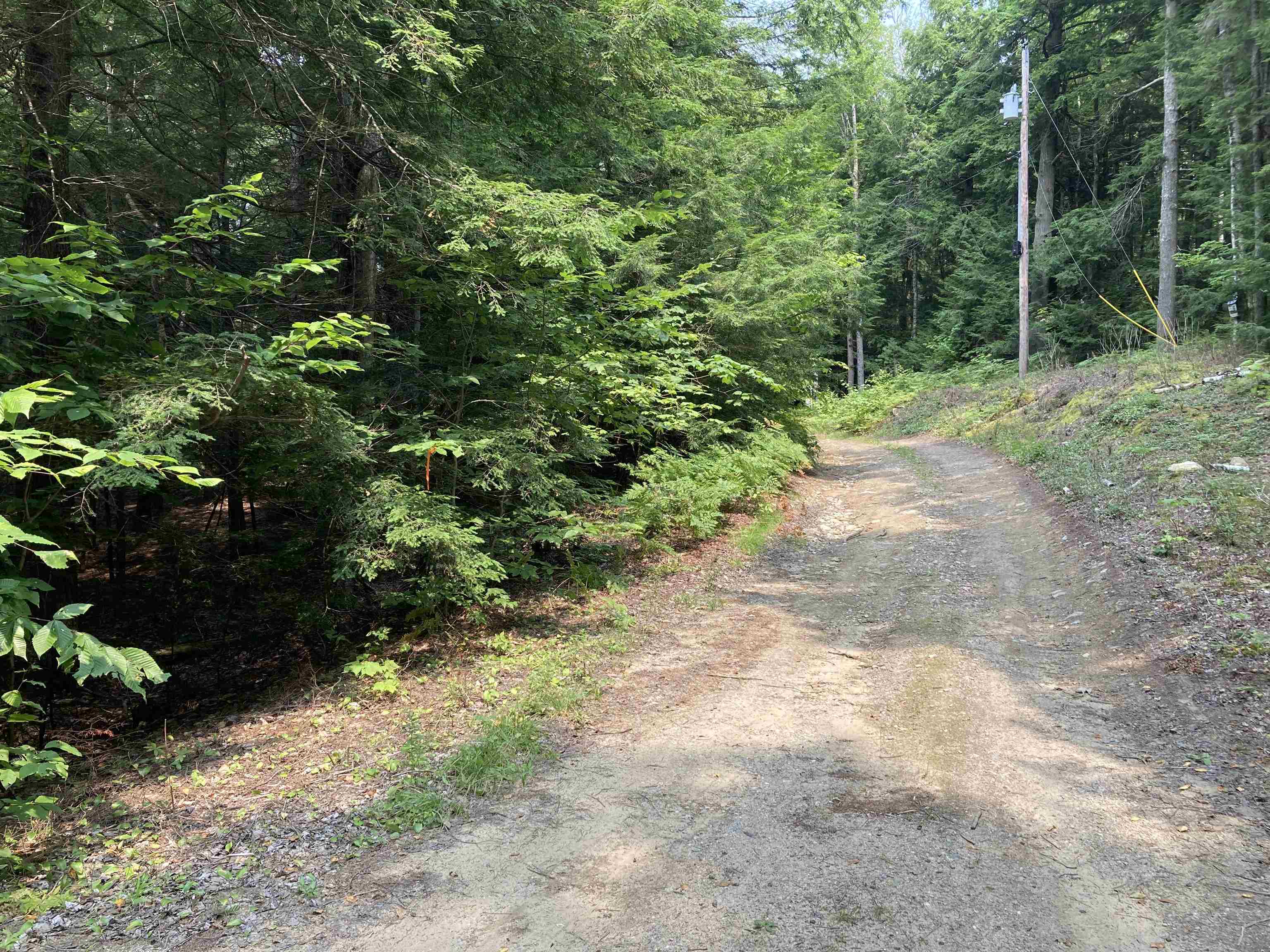 0 Halfmoon Pond Road Grafton, NH 03240 - Photo 3 of 13