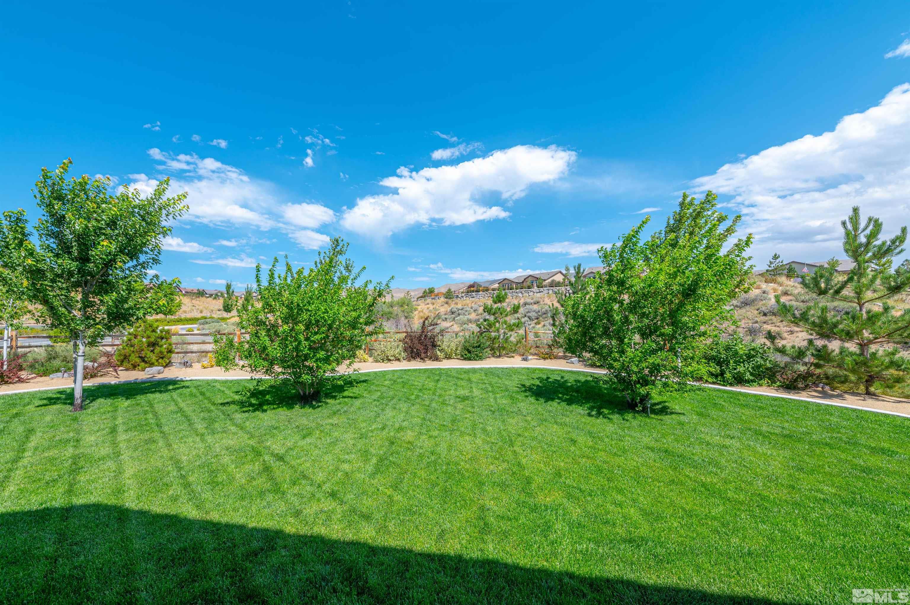 990 Broderick Trail Reno, NV 89523 - Photo 35 of 38 a view of a big yard with plants and large trees