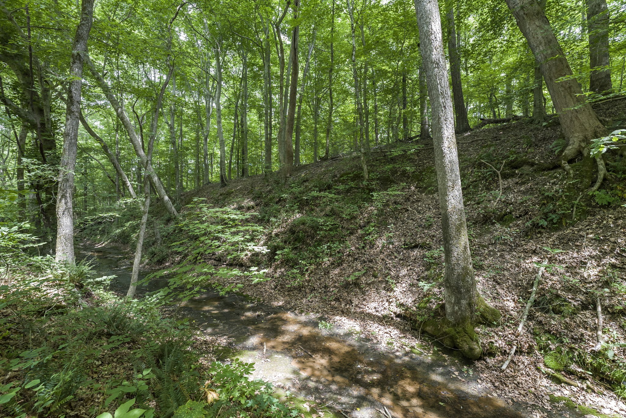 3155 Burr Road Springfield, TN 37172 - Photo 51 of 68 Gallery Image 51