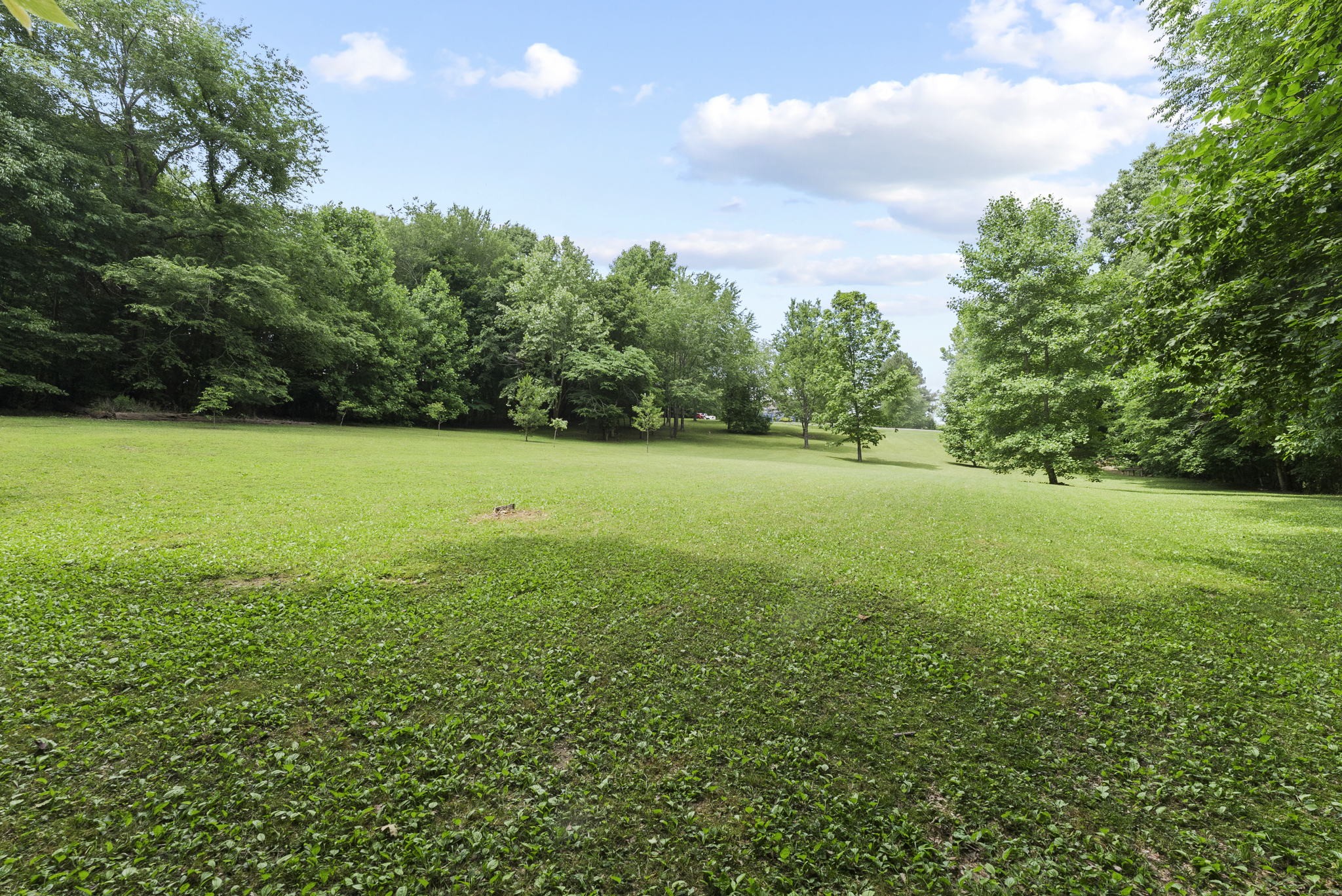 3155 Burr Road Springfield, TN 37172 - Photo 52 of 68 Gallery Image 52