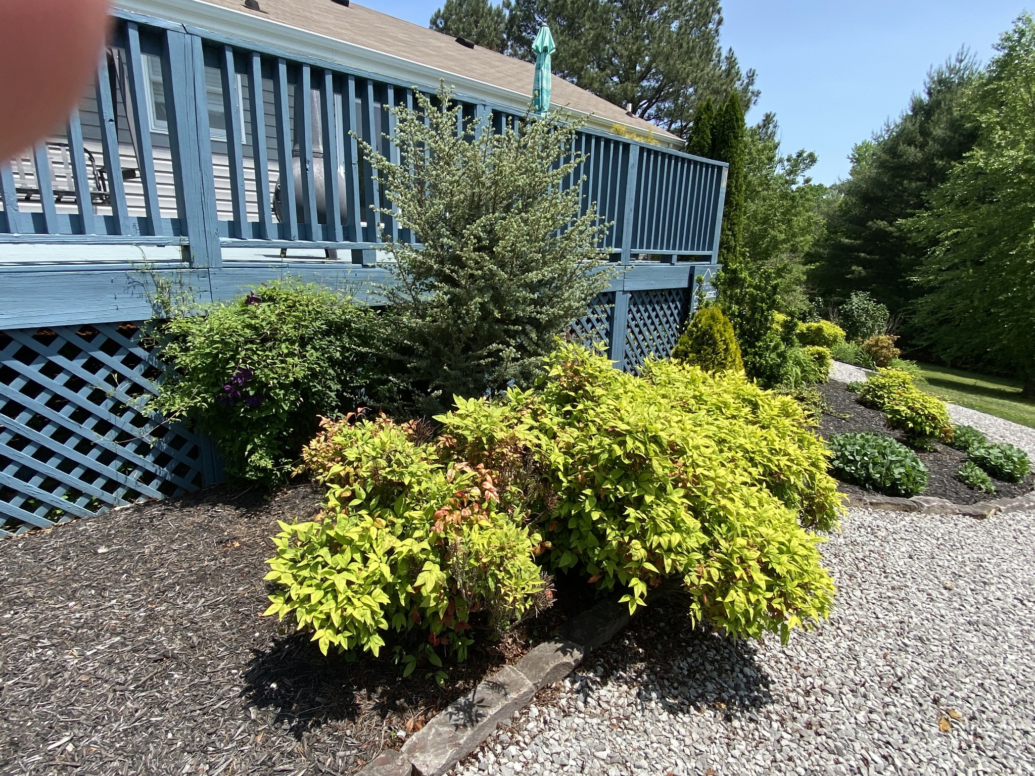 3155 Burr Road Springfield, TN 37172 - Photo 62 of 68 Gallery Image 62