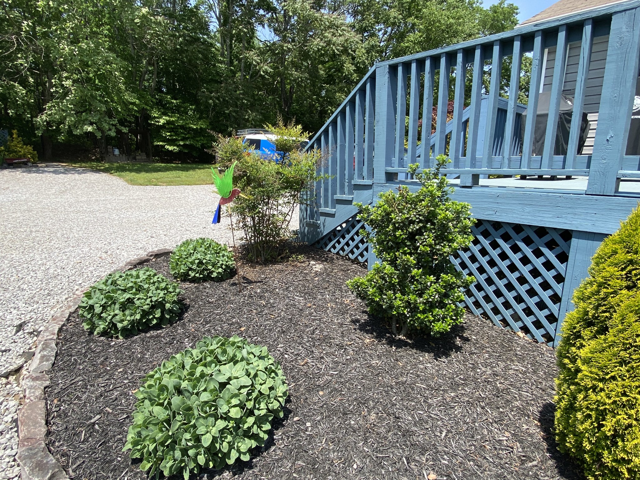 3155 Burr Road Springfield, TN 37172 - Photo 63 of 68 Gallery Image 63