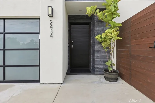 a potted plant sitting in front of a door