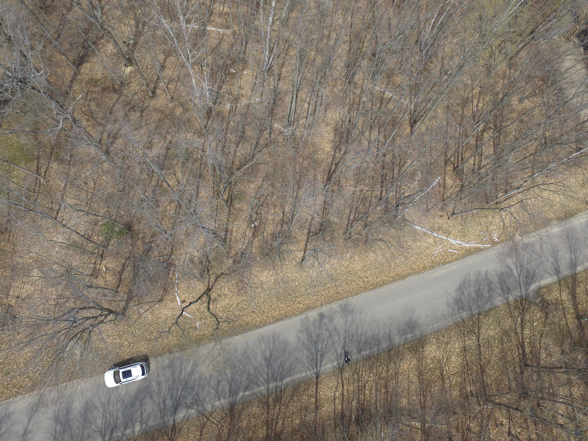 Timber Valley Road Gaylord, MI 49735 - Photo 4 of 6 Gallery Image 4