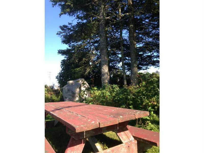 7 Mountain Street Vinalhaven, ME 04863 - Photo 13 of 15 Other. Picnic at ferry landing