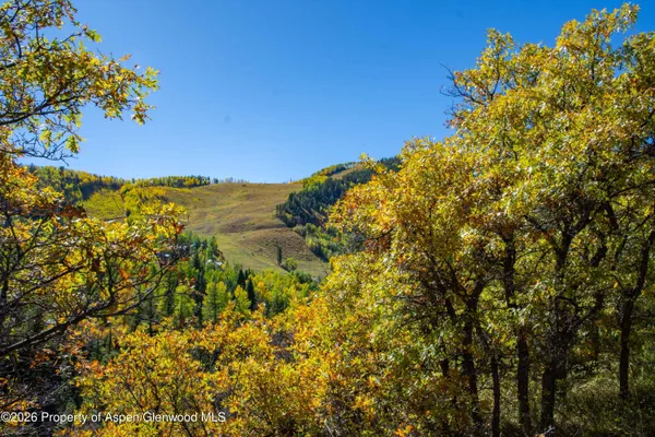 $65,000,000 | 1470-1400 Tiehack Road, Aspen, CO 81611