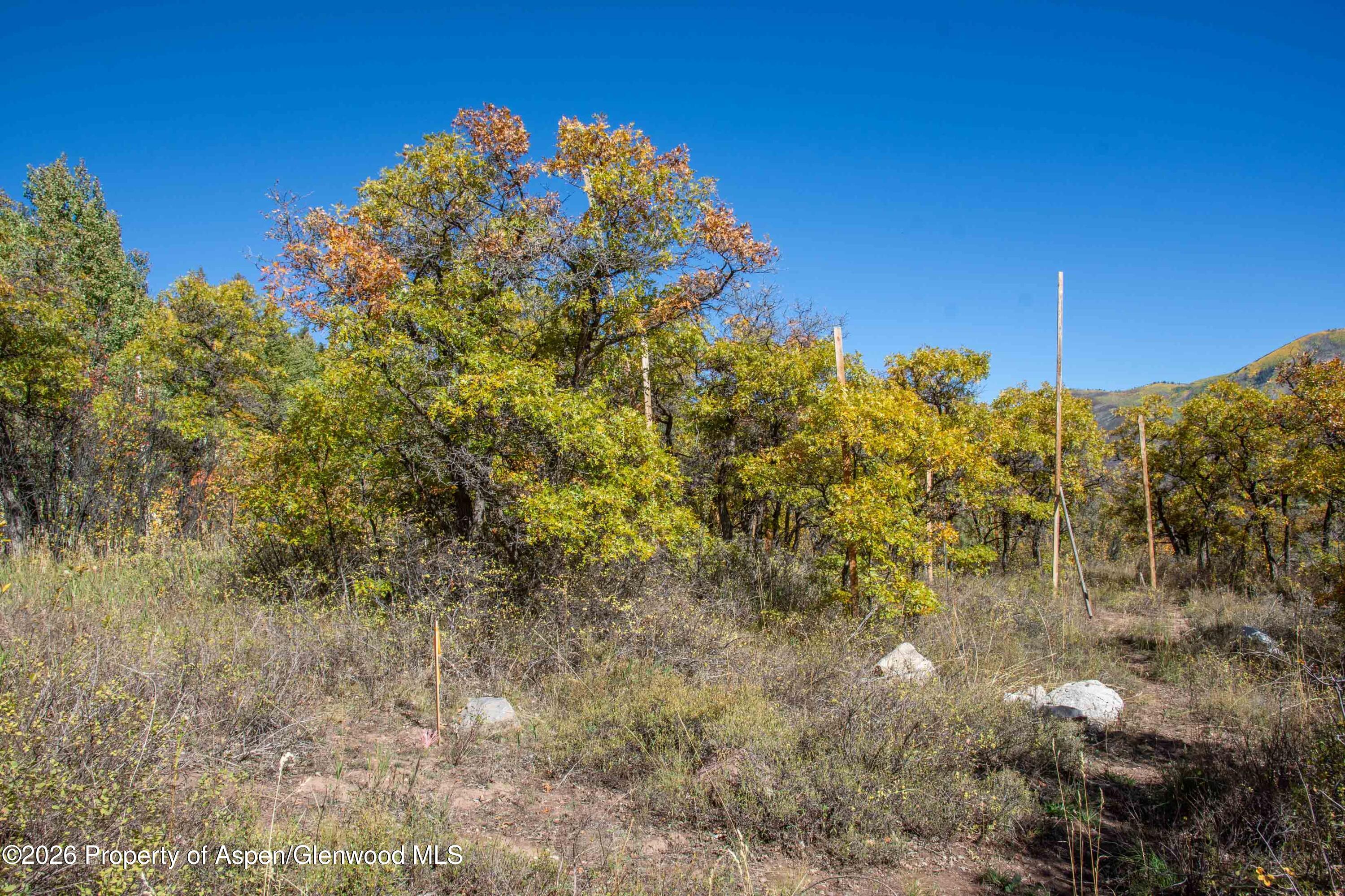 1470-1400 Tiehack Road Aspen, CO 81611 - Photo 92 of 97 1400 Building Site