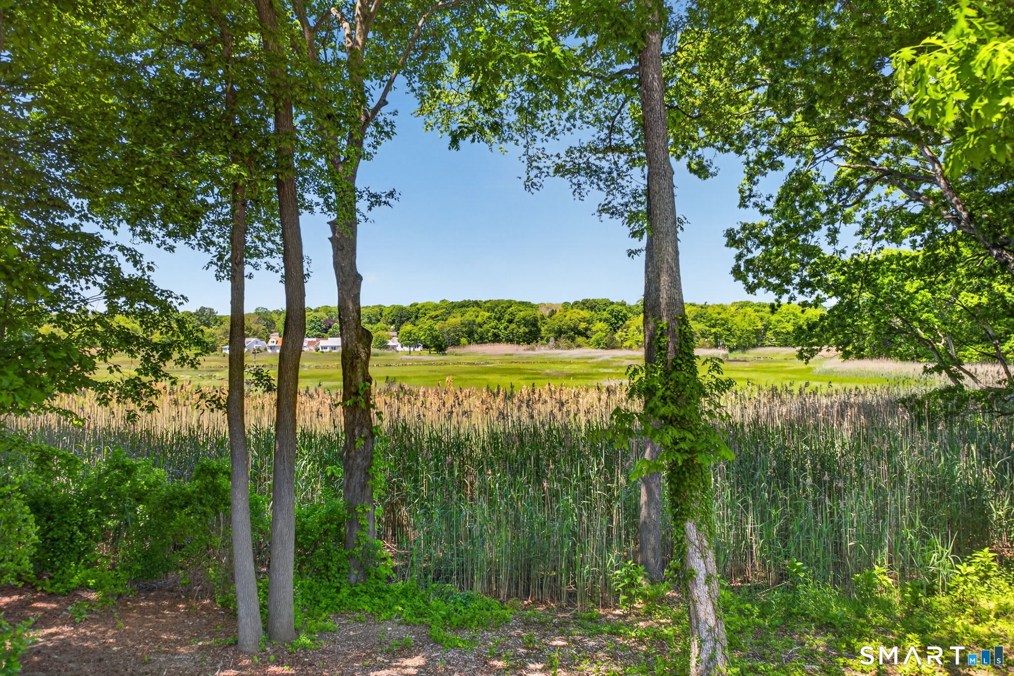 8 Liberty Ridge Clinton, CT 06413 - Photo 37 of 40